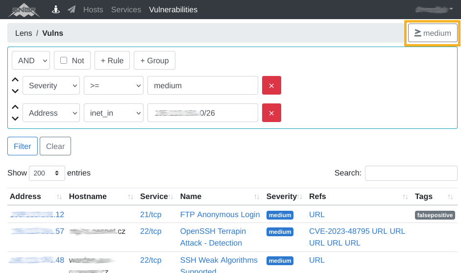Lens vulns filter severity